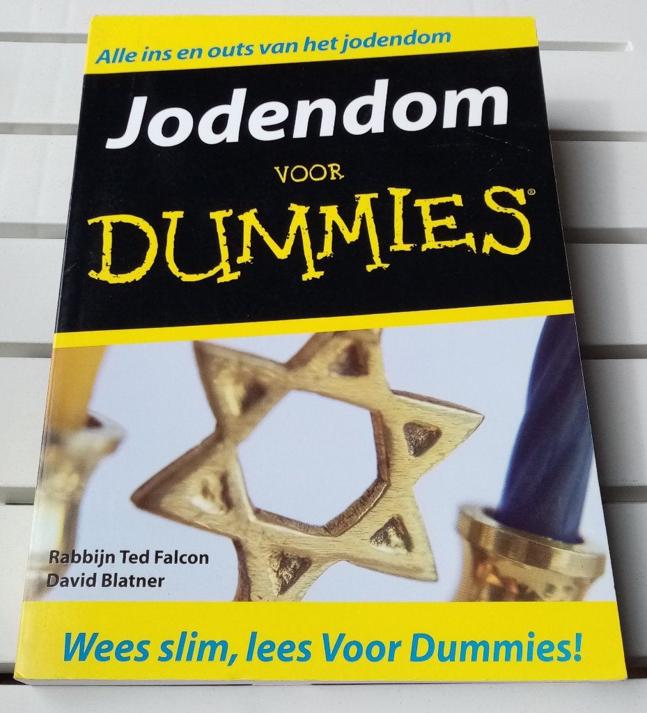Jodendom voor dummies * Rabbijn Ted Falcon | David Blatner, Gelezen, Jodendom, Ophalen of Verzenden, Rabbijn Ted Falcon | David Blatner