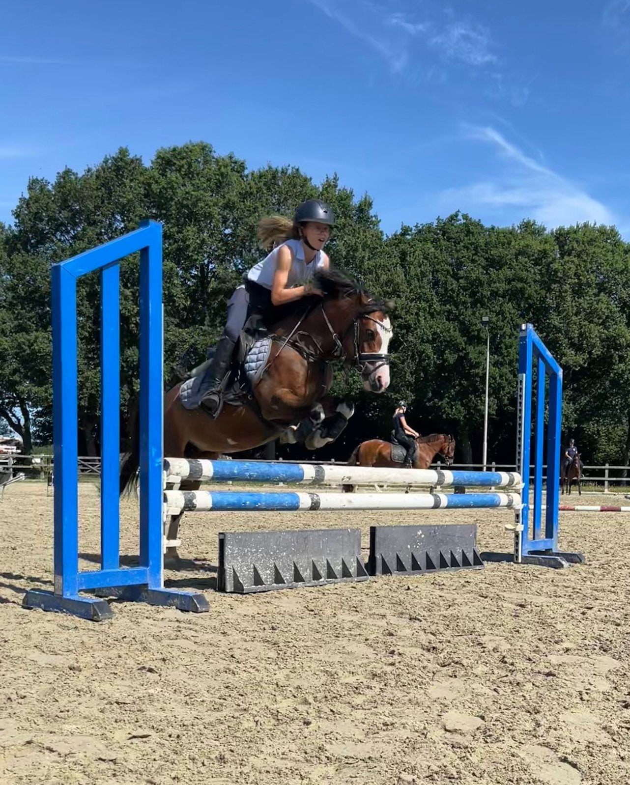 Super knappe sportpony, Merrie, Met stamboom, Springpony, L