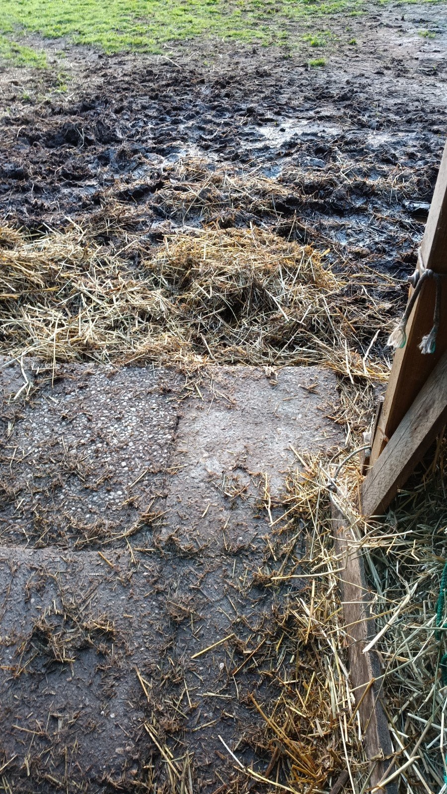 Gezocht Grindtegels 60x40, Tuin en Terras, Ophalen of Verzenden, Beton, Terrastegels