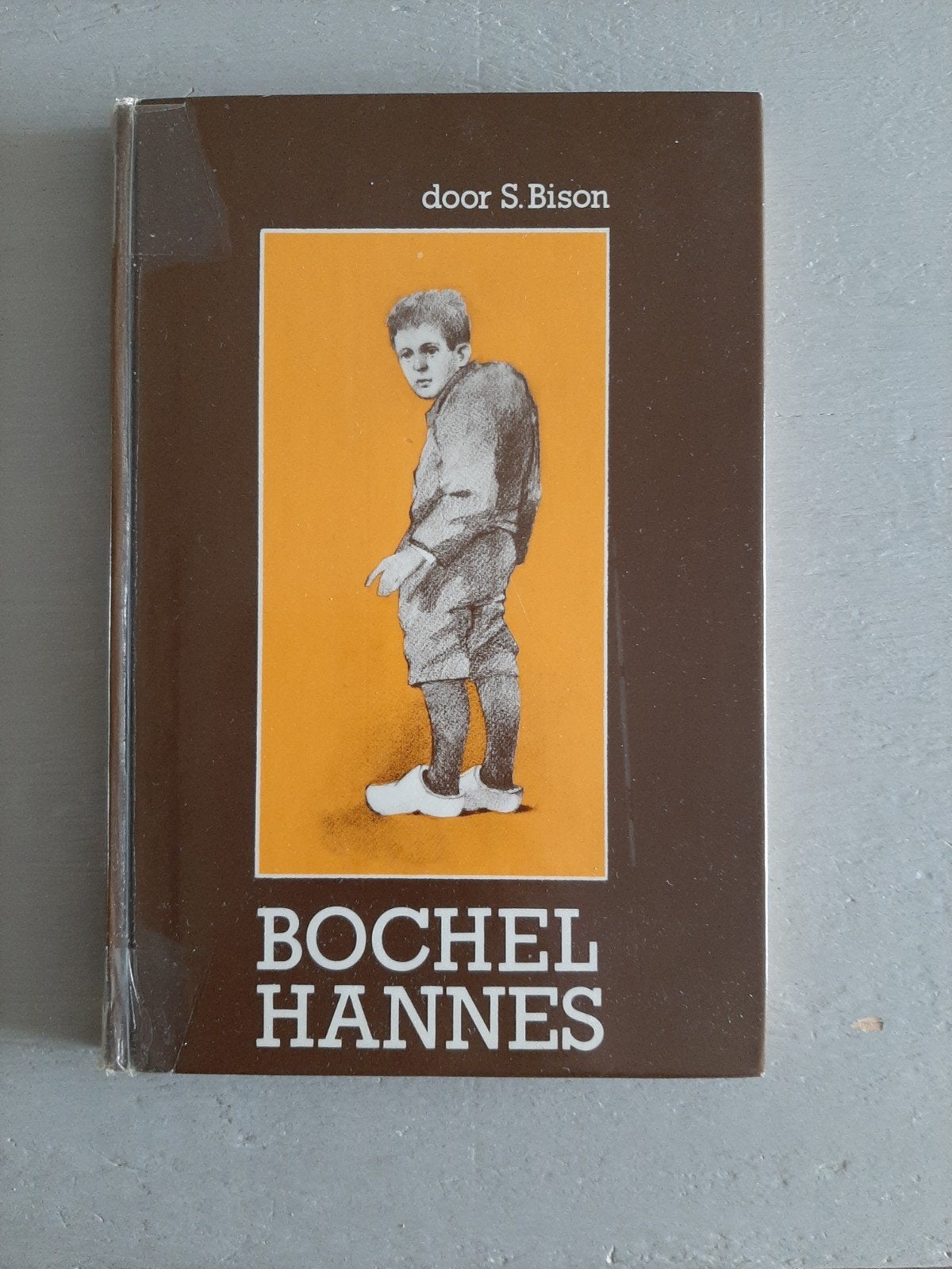 Bochel Hannes-S. Bison., Boeken, Gelezen, Ophalen of Verzenden, Fictie, S. Bison