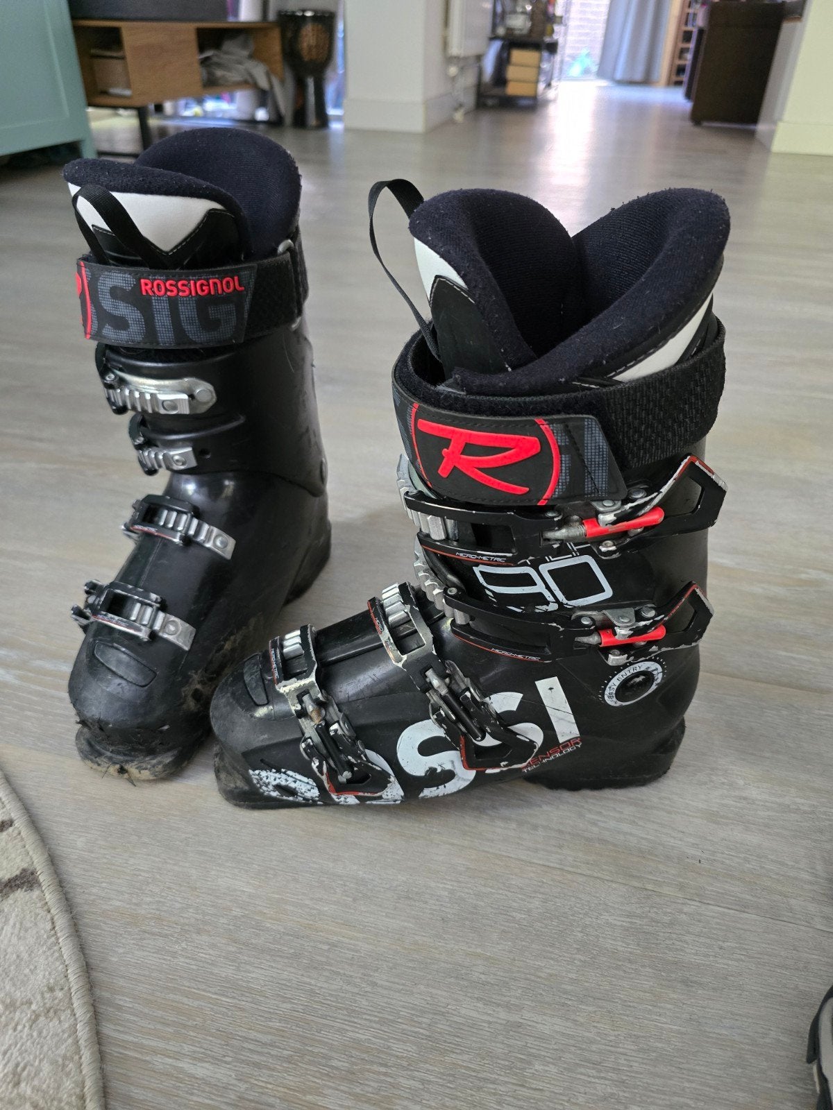 Rossignol Ski Schoenen - Maat 245 (288mm), 160 tot 180 cm, Gebruikt, Rossignol, Schoenen