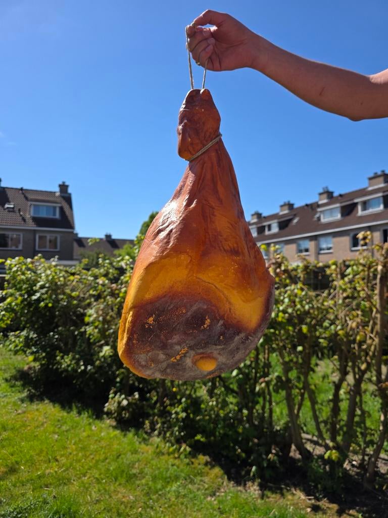 Partij kunst ham, namaak ham, nep vlees, Huis en Inrichting, Woonaccessoires | Overige, Ophalen of Verzenden, Nieuw