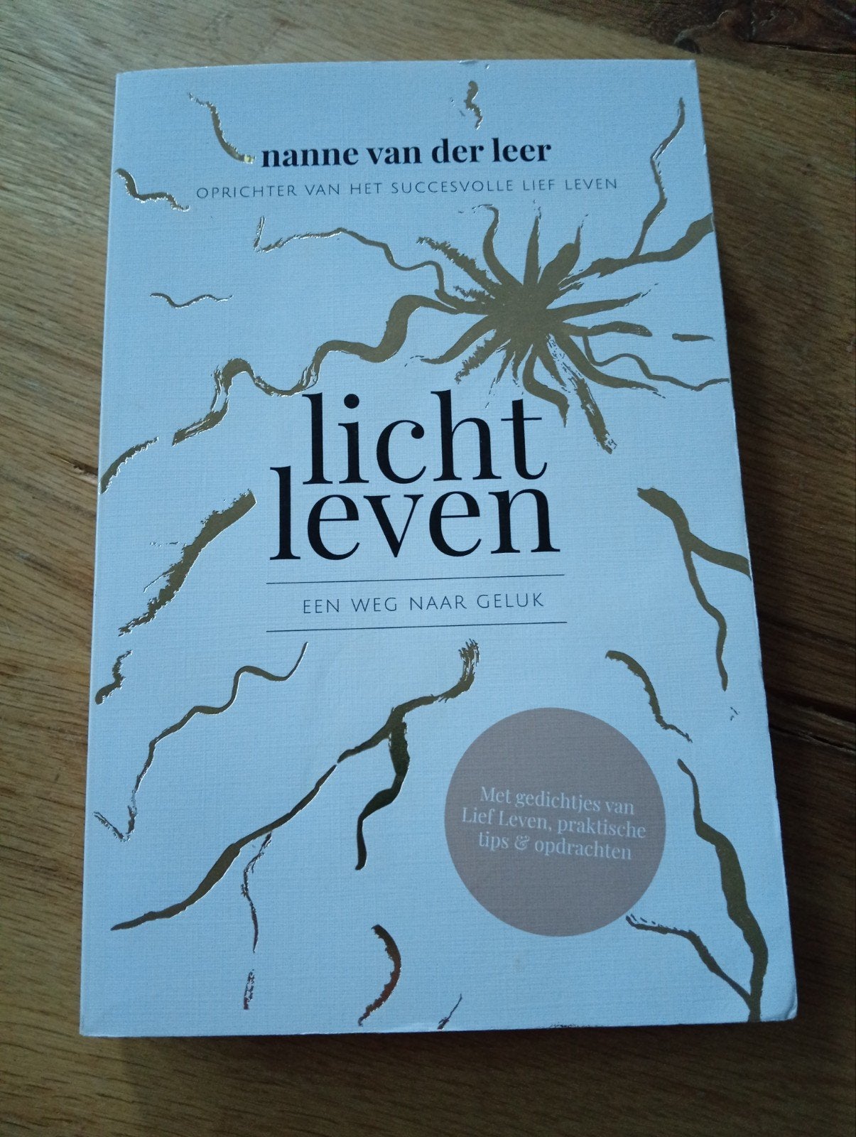 Licht Leven - Nanne van der Leer (Zo goed als nieuw), Boeken, Ophalen of Verzenden, Zo goed als nieuw, Nanne van der Leer, Nederland