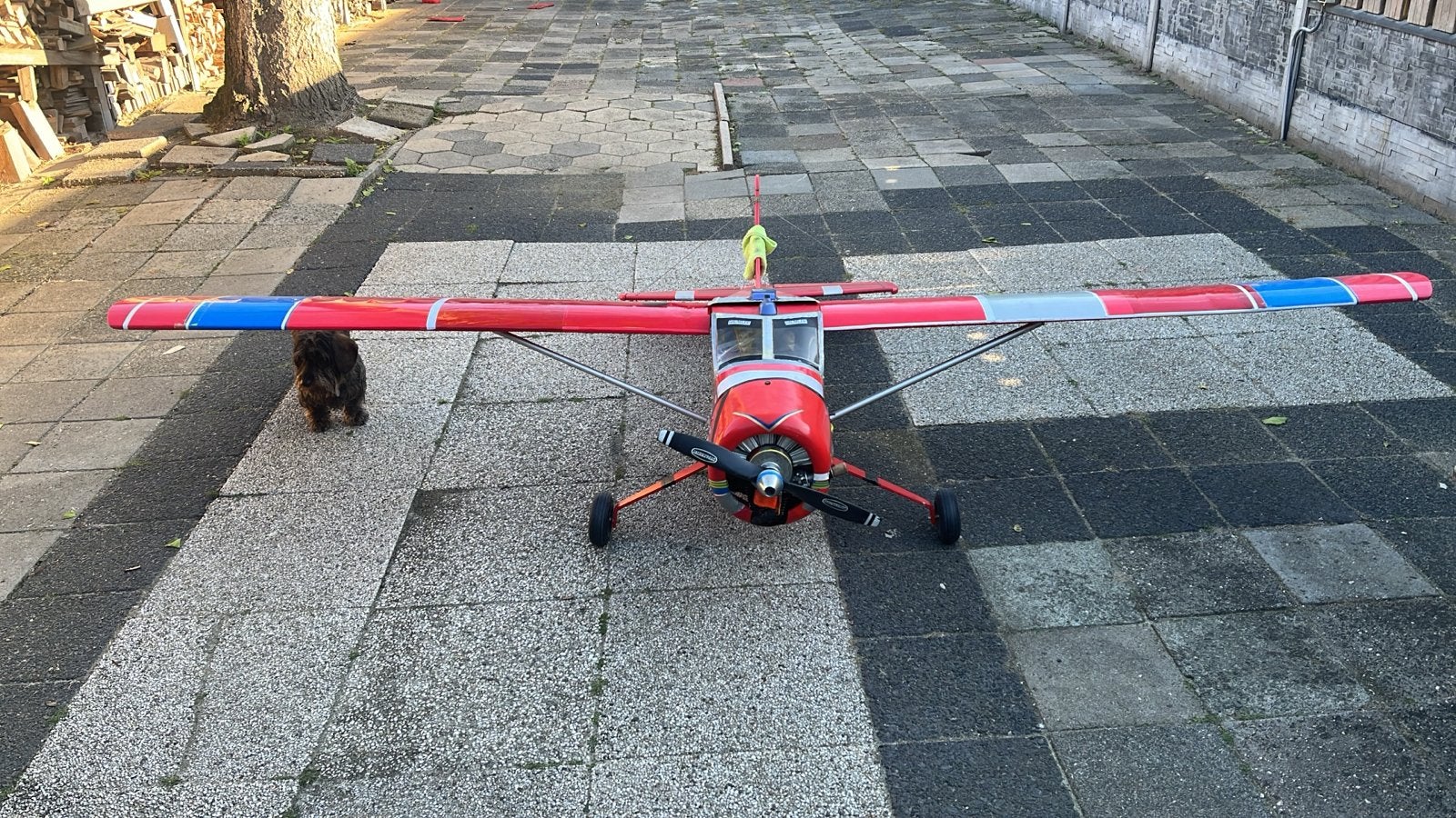 Mega Vette Modelbouw Beaver met 80cc Zenoah Motor, Hobby en Vrije tijd, Modelbouw | Radiografisch | Vliegtuigen, Ophalen, Gebruikt