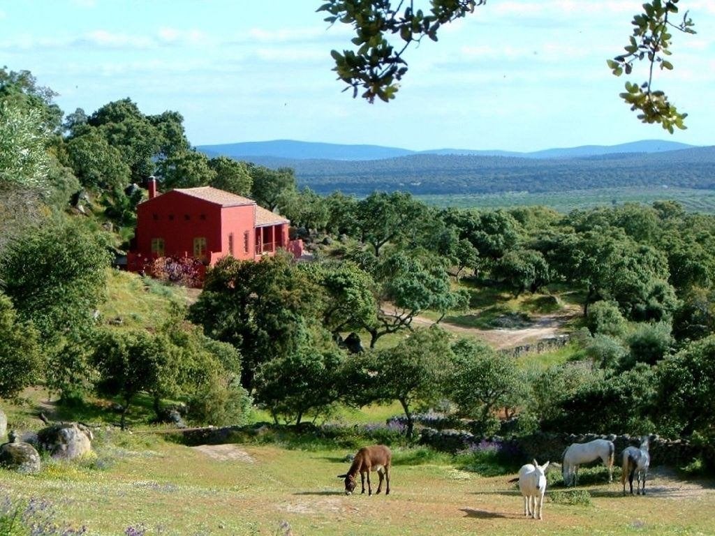 Idyllic 18 hectare nature reserve, Spain: 3 licensed houses., Huizen en Kamers, Spanje, Woonhuis, 400 m², 16 kamers