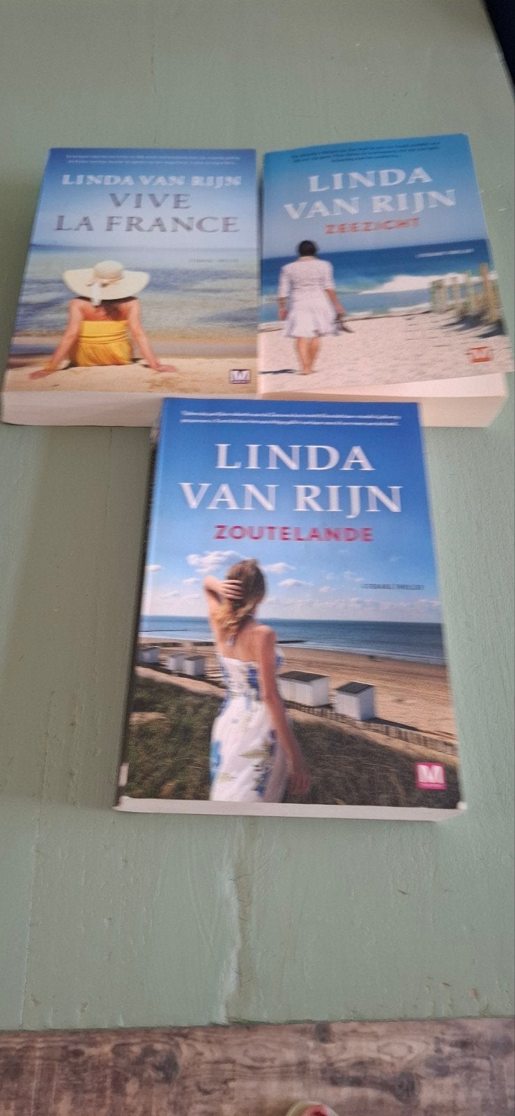 Linda v Rijn, diverse titels, Boeken, Ophalen of Verzenden, Zo goed als nieuw, Linda van Rijn