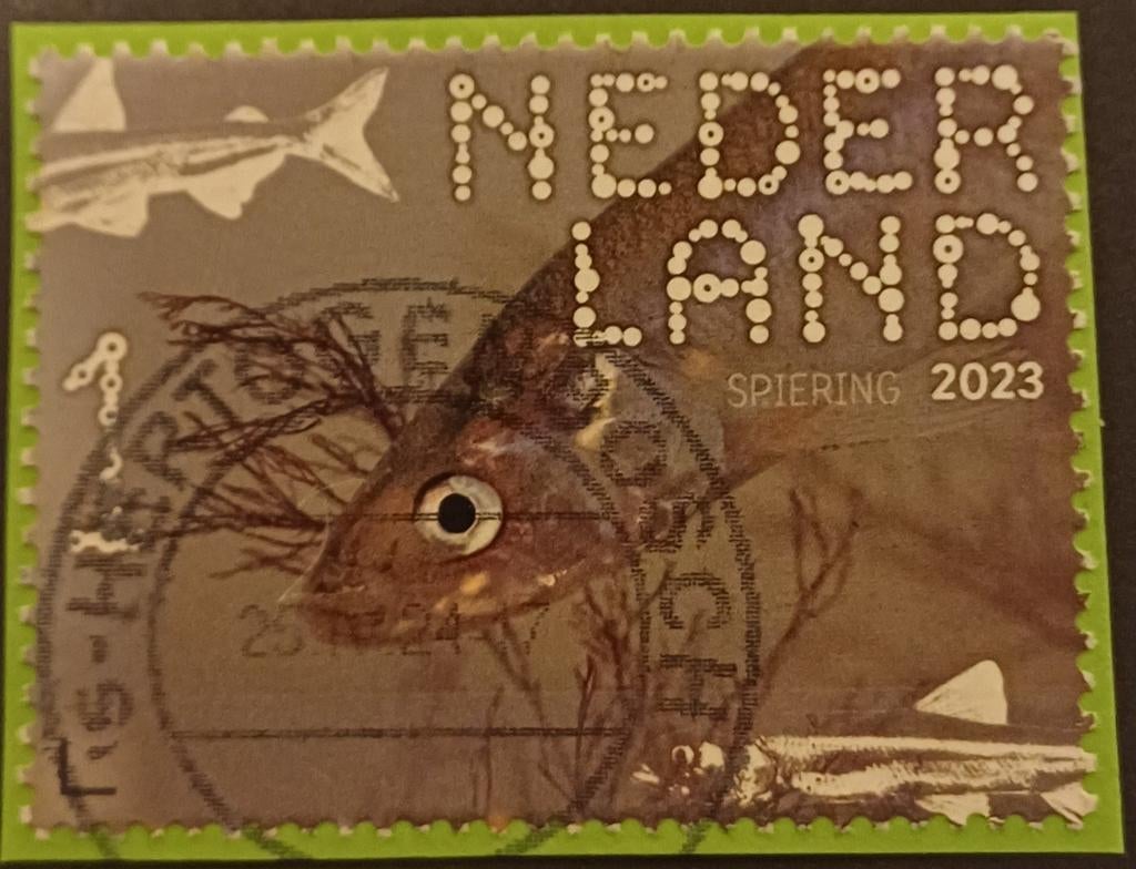 Nederland, Postzegels en Munten, Ophalen of Verzenden