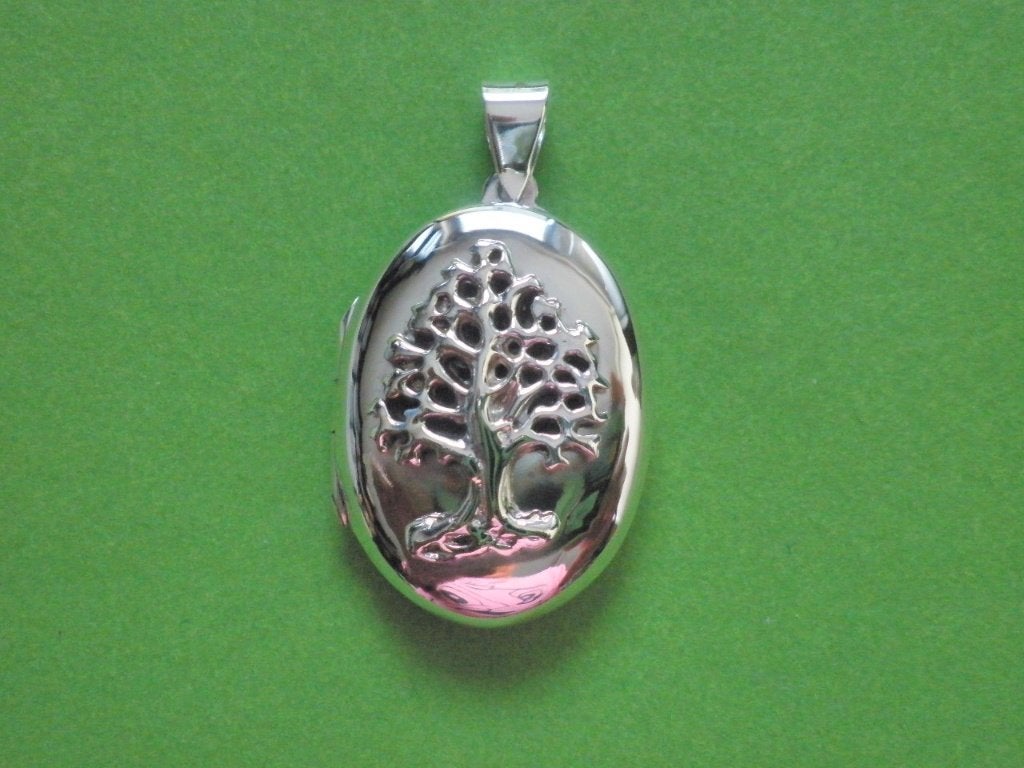 Mooi Zilveren Medaillon met Levensboom, Verzenden, Zilver, Hanger