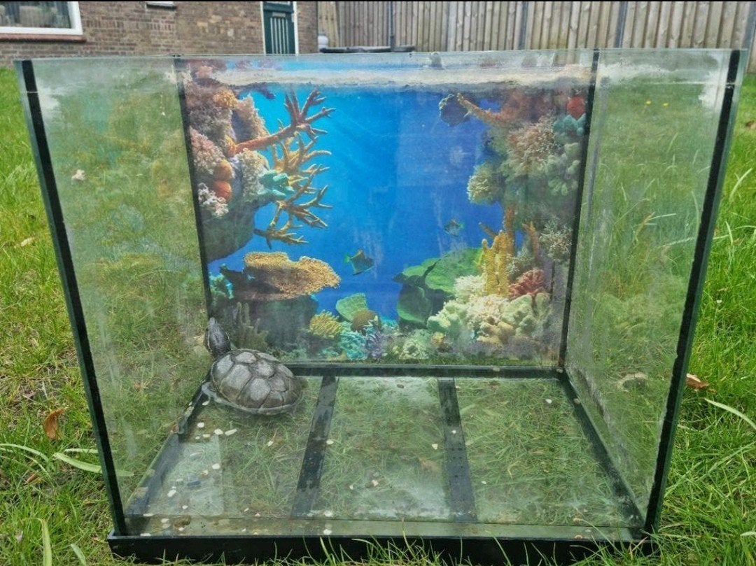 Leuk klein aquarium 28 diep 42 breed 40cm hoog

Beschikbaar:, Ophalen, Zo goed als nieuw, Leeg aquarium, Overige merken