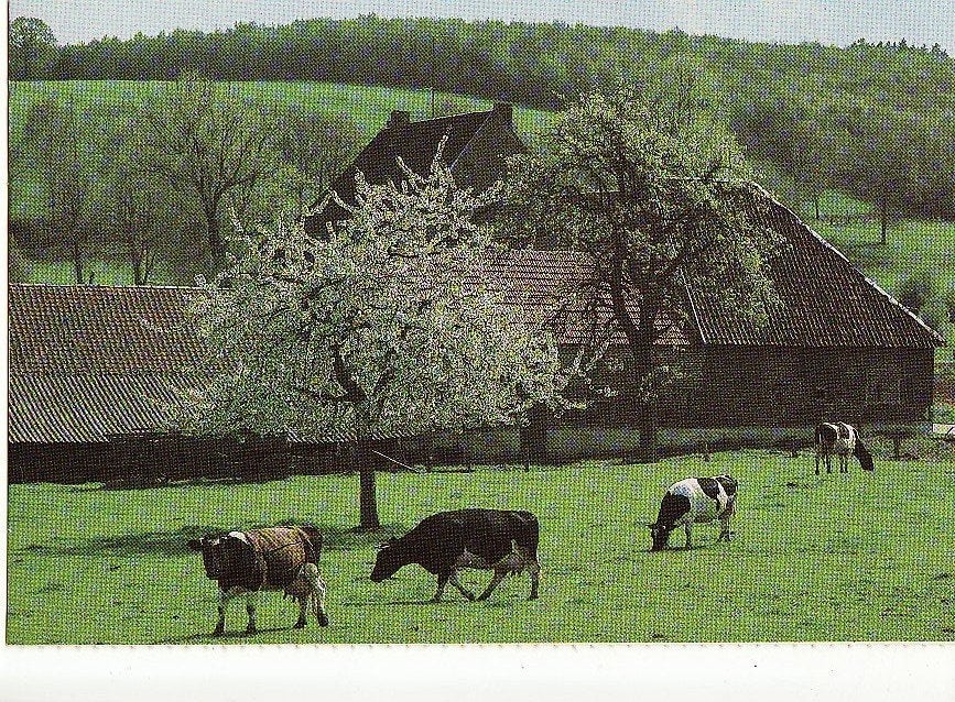 Limburg Hellingbos tussen Vijlen en Vaals.(L), Ophalen, 1980 tot heden, Ongelopen, Limburg