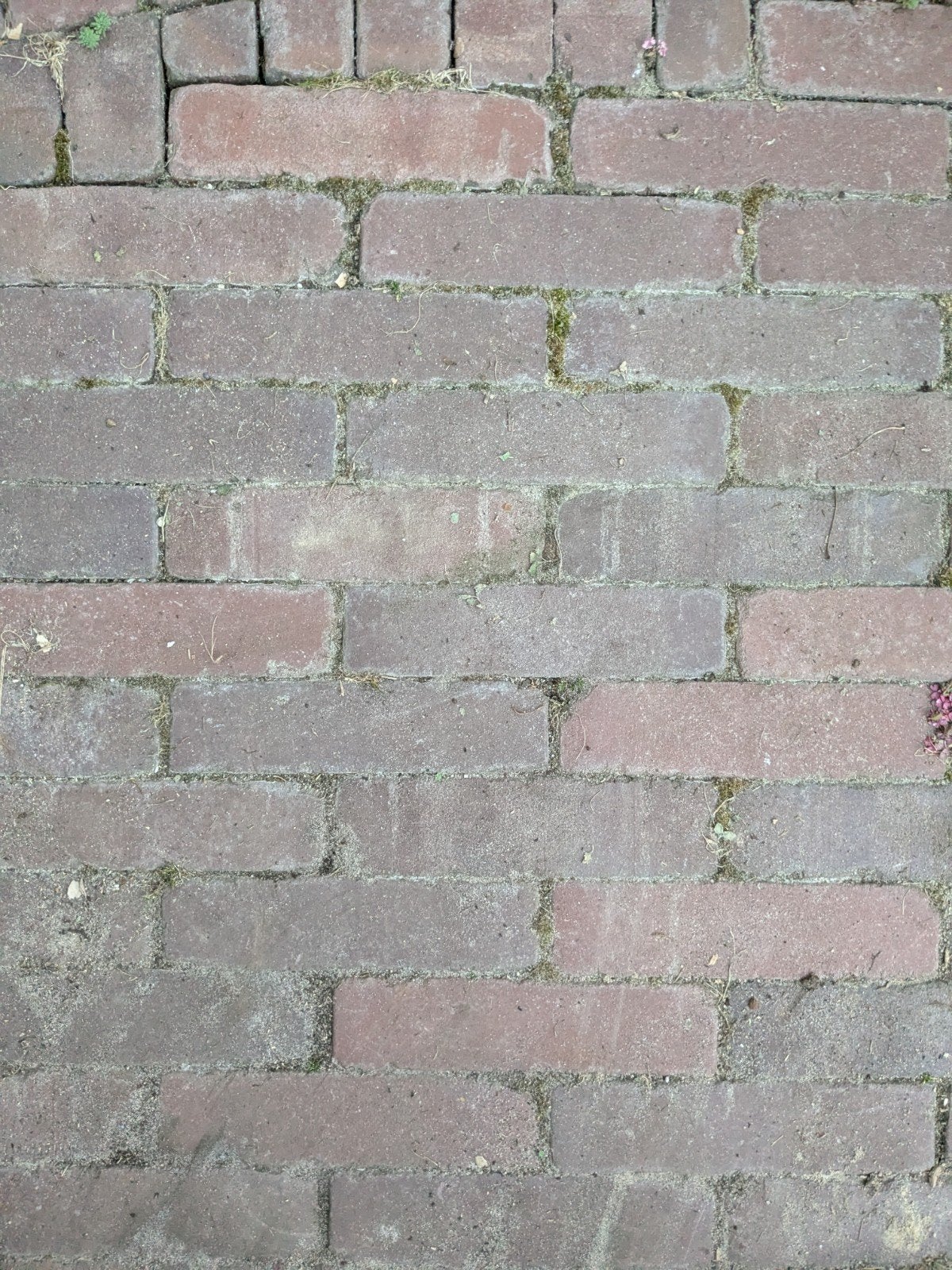gebakken waaltjes ruim 5 m2: totaal voor 30,-, Tuin en Terras, Ophalen, Klinkers
