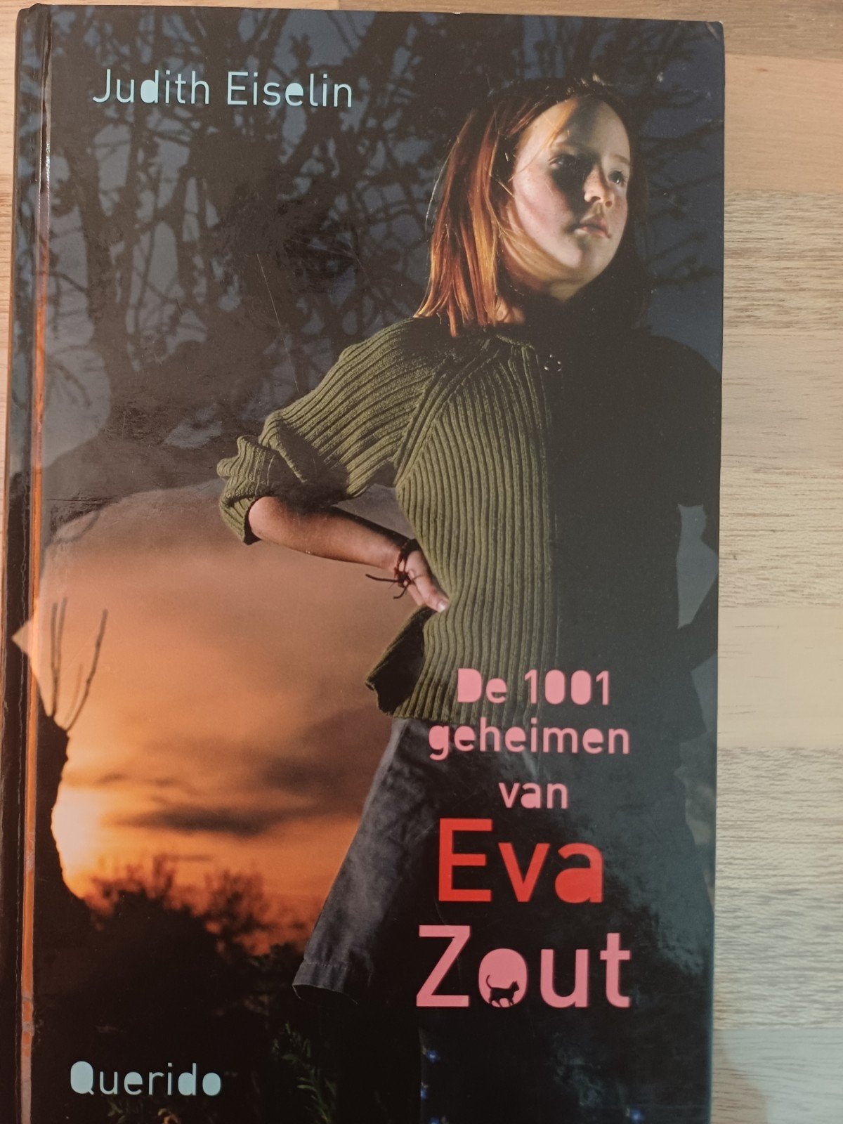 Judith Eiselin - De 1001 geheimen van Eva Zout, J. Eiselin, Ophalen of Verzenden, Zo goed als nieuw, Fictie