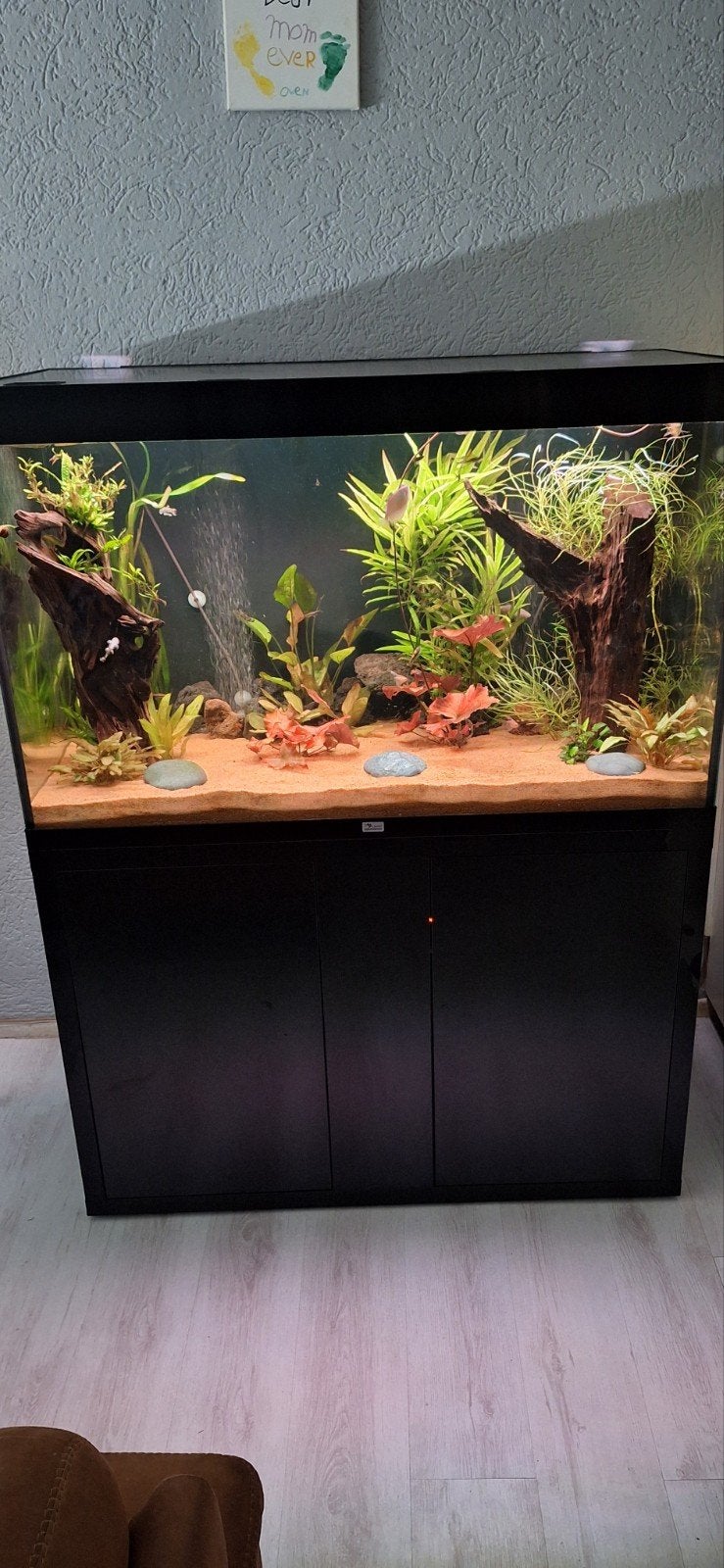 aquatlantis 544l, Dieren en Toebehoren, Ophalen, Gebruikt, Inclusief vissen, Aquatlantis
