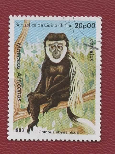 Fauna - Dieren - Apen - Guiné Bissau - 663 - gebr, Verzenden, Gestempeld, Dier of Natuur