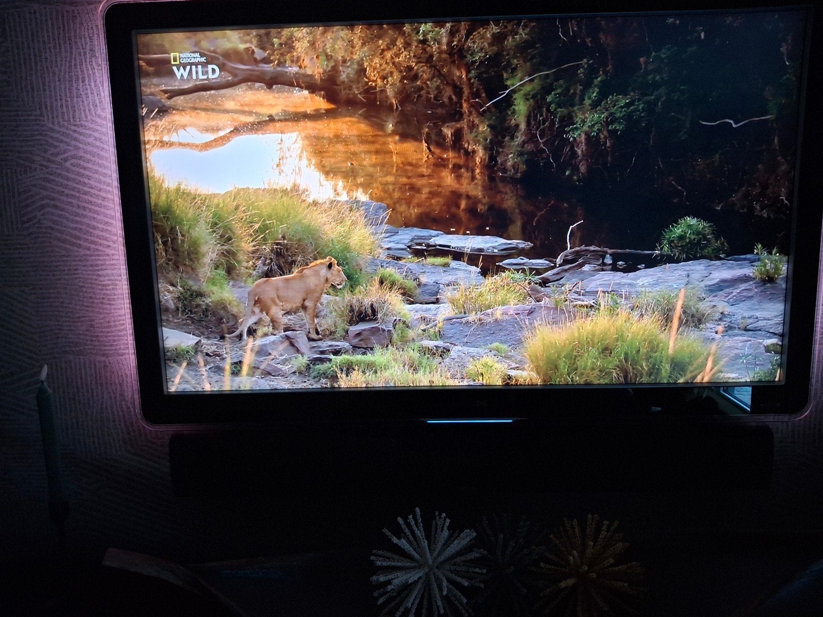 Goed werkende 47 inch TV, Ophalen, Philips, Gebruikt, 50 Hz