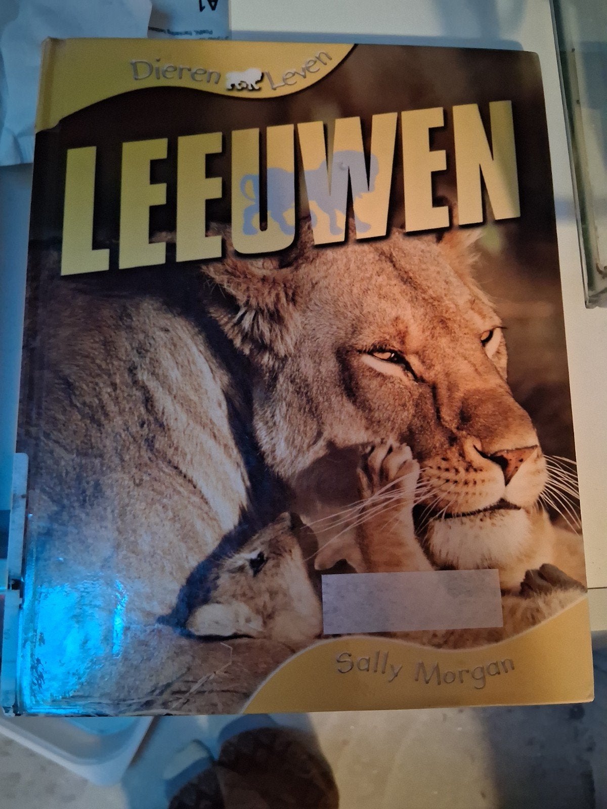 Dierenleven: Leeuwen - Sally Morgan, Ophalen of Verzenden, Zo goed als nieuw, Natuur algemeen, Sally Morgan