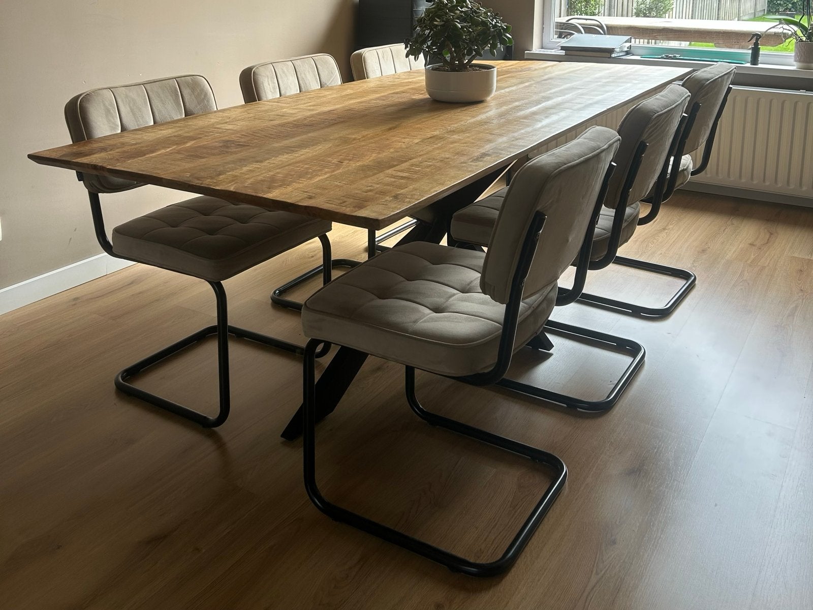 Eettafel India 220 met 6 Kick buisframe stoelen Ivy champagn, Ophalen, 4567da, 50 tot 100 cm, Vijf personen of meer