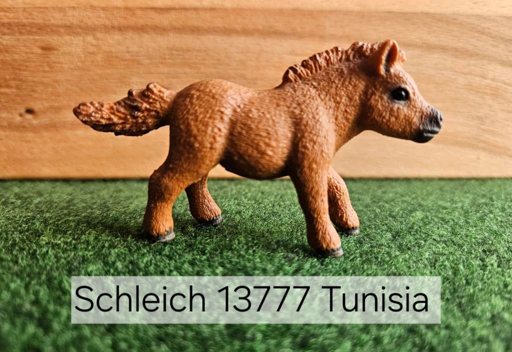 Schleich 13777 mini Shetlander veulen uit 2015, Ophalen of Verzenden, Zo goed als nieuw, Paard, Beeldje of Figuurtje