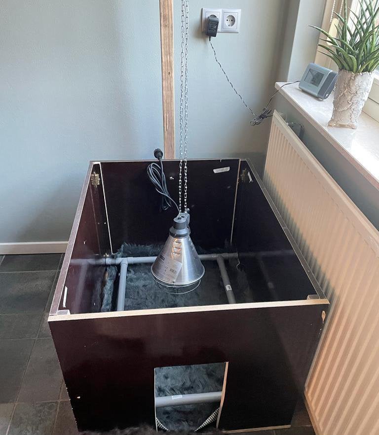 Werpkist kleine middelgrote hond compleet, Ophalen, Zo goed als nieuw, 110 cm of meer, Minder dan 65 cm