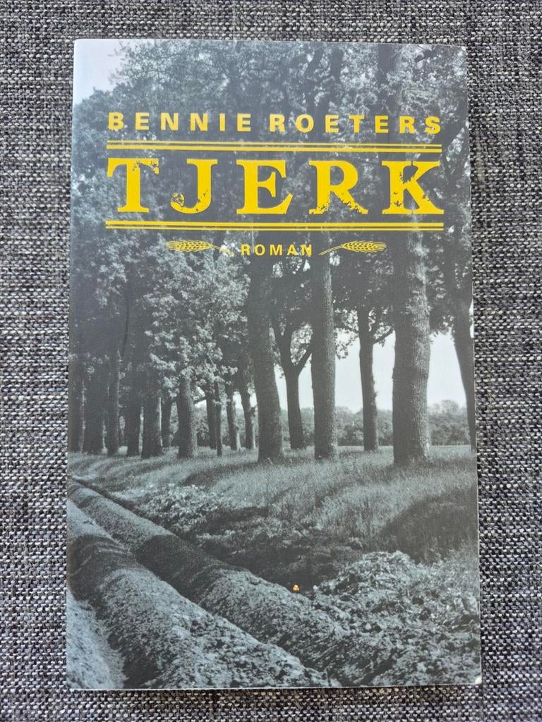 Tjerk | Bennie Roeters | roman over Tjerk Vermaning, Verzenden, Zo goed als nieuw, Bennie Roeters, Nederland