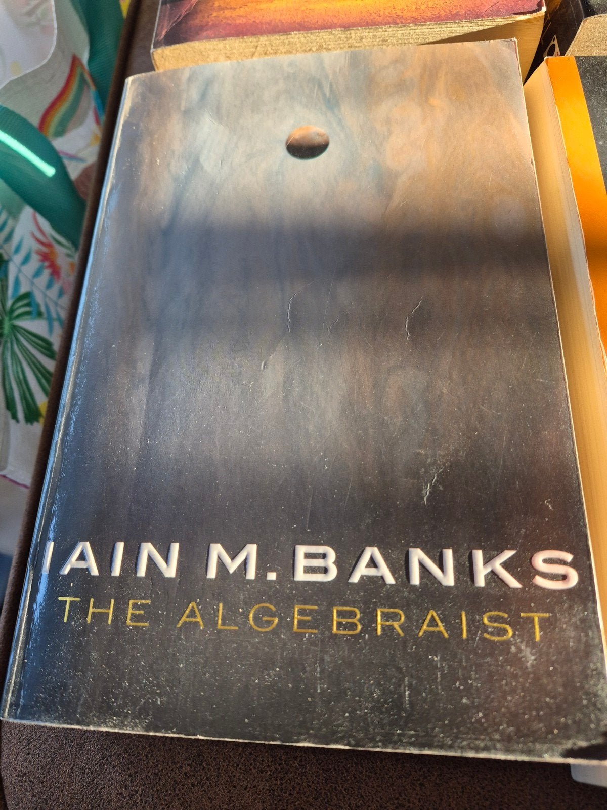 The Algebraist - Iain M. Banks (Engels), Ophalen of Verzenden, Gelezen, Iain M. Banks