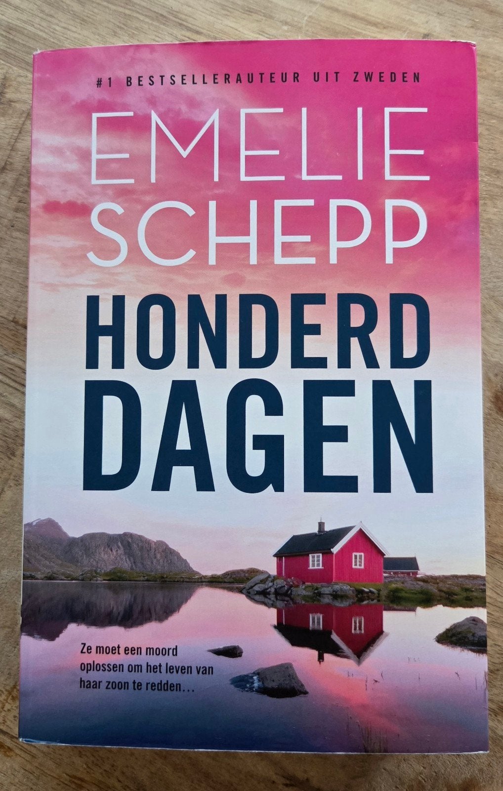Emelie Schepp - Honderd dagen, Boeken, Ophalen of Verzenden, Zo goed als nieuw, Emelie Schepp