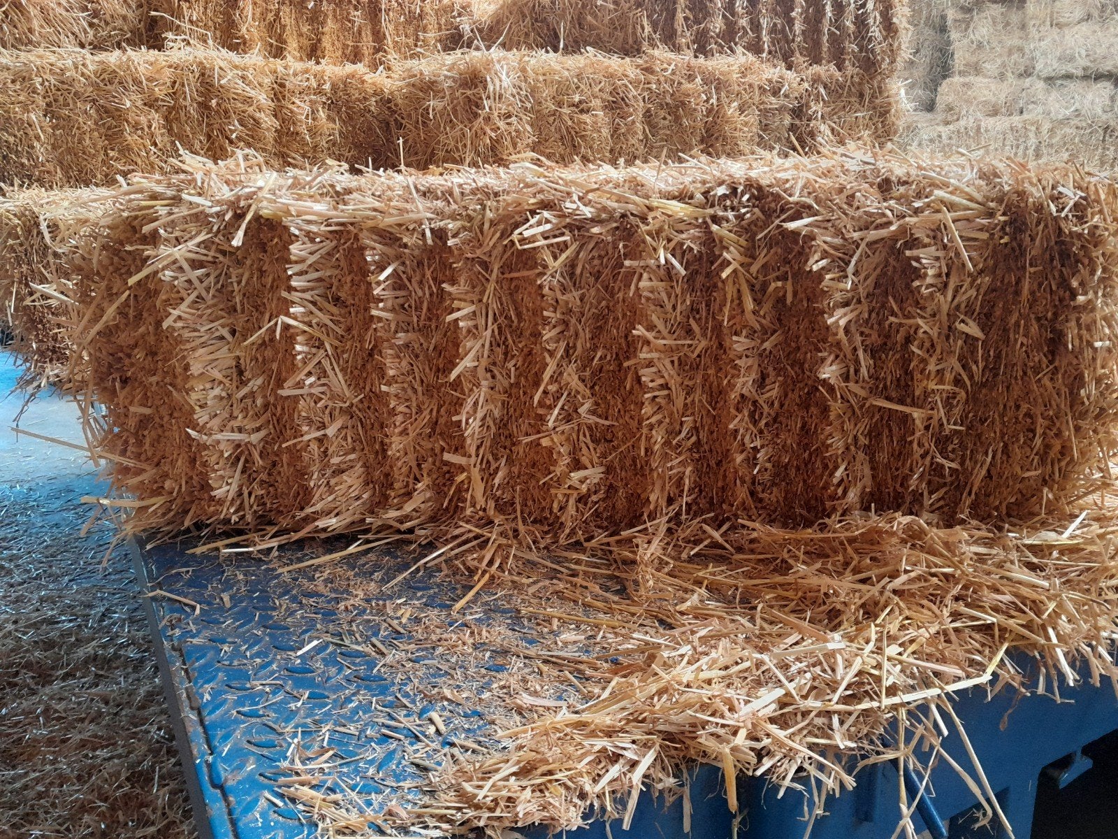 stro, Dieren en Toebehoren, Ophalen, Vee