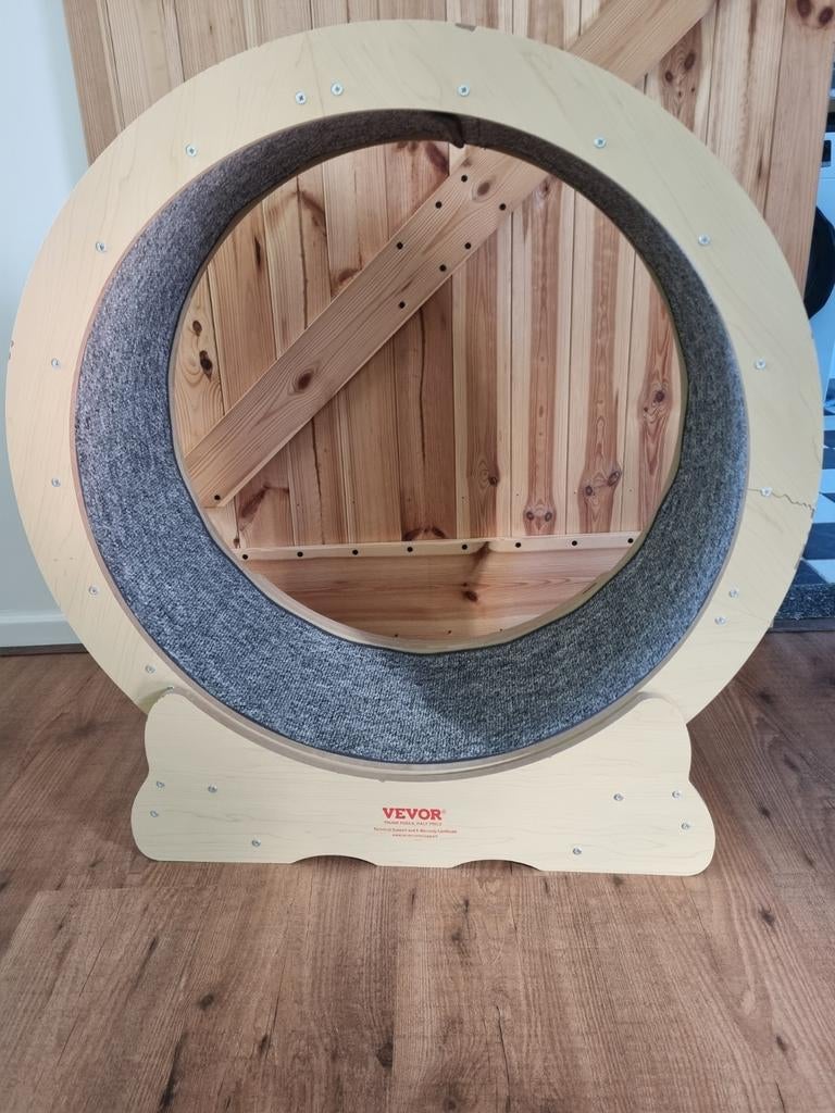 Loopwiel kat 75cm, Ophalen, Nieuw