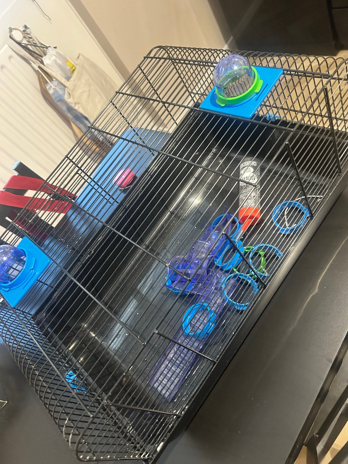 Hamsterkooi verblijf, Ophalen, Minder dan 75 cm, Kooi, Minder dan 60 cm