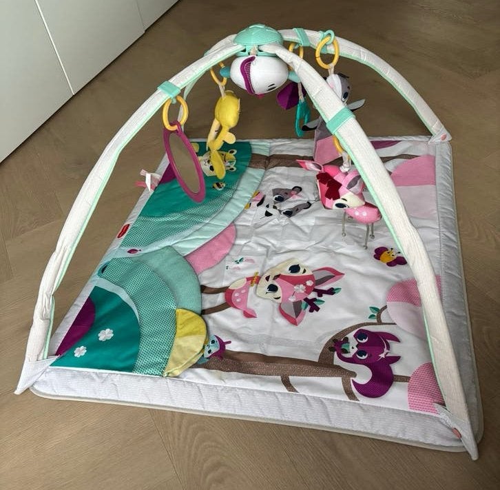 Tiny Love Babygym, Ophalen, Gebruikt