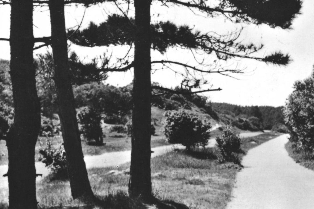 700118 Bergen aan Zee 1955 Zeeweg rijwielpad Gelopen, Ophalen of Verzenden, 1940 tot 1960, Gelopen, Noord-Holland