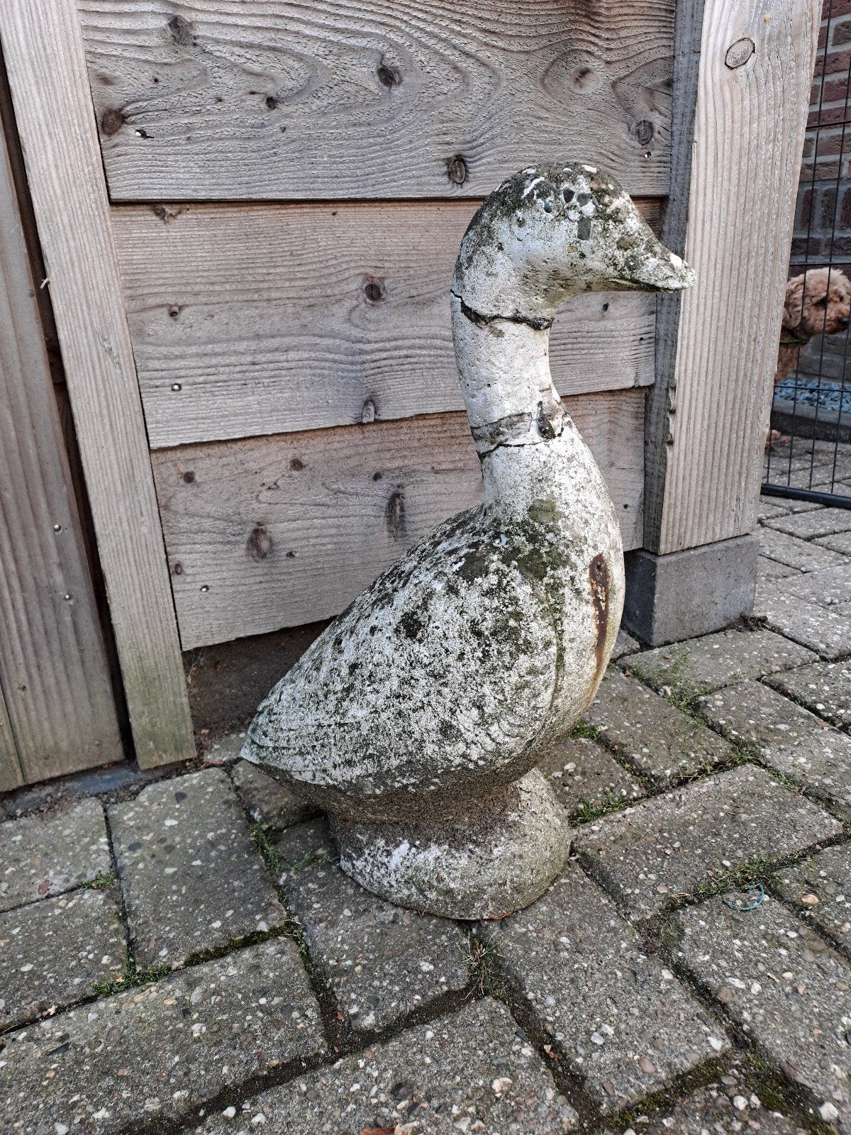 Tuinbeeld ongeveer 50 cm hoog, Tuin en Terras, Tuinbeelden, Ophalen, Gebruikt, Steen