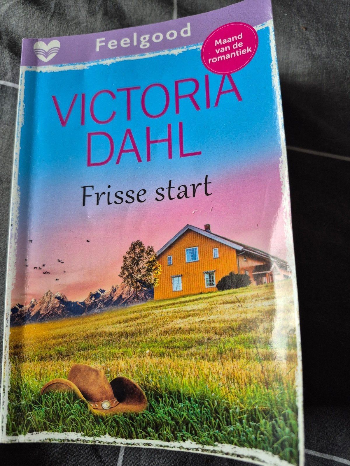 Frisse start - Victoria Dahl (Feelgood), Boeken, Ophalen of Verzenden, Gelezen, Victoria Dahl