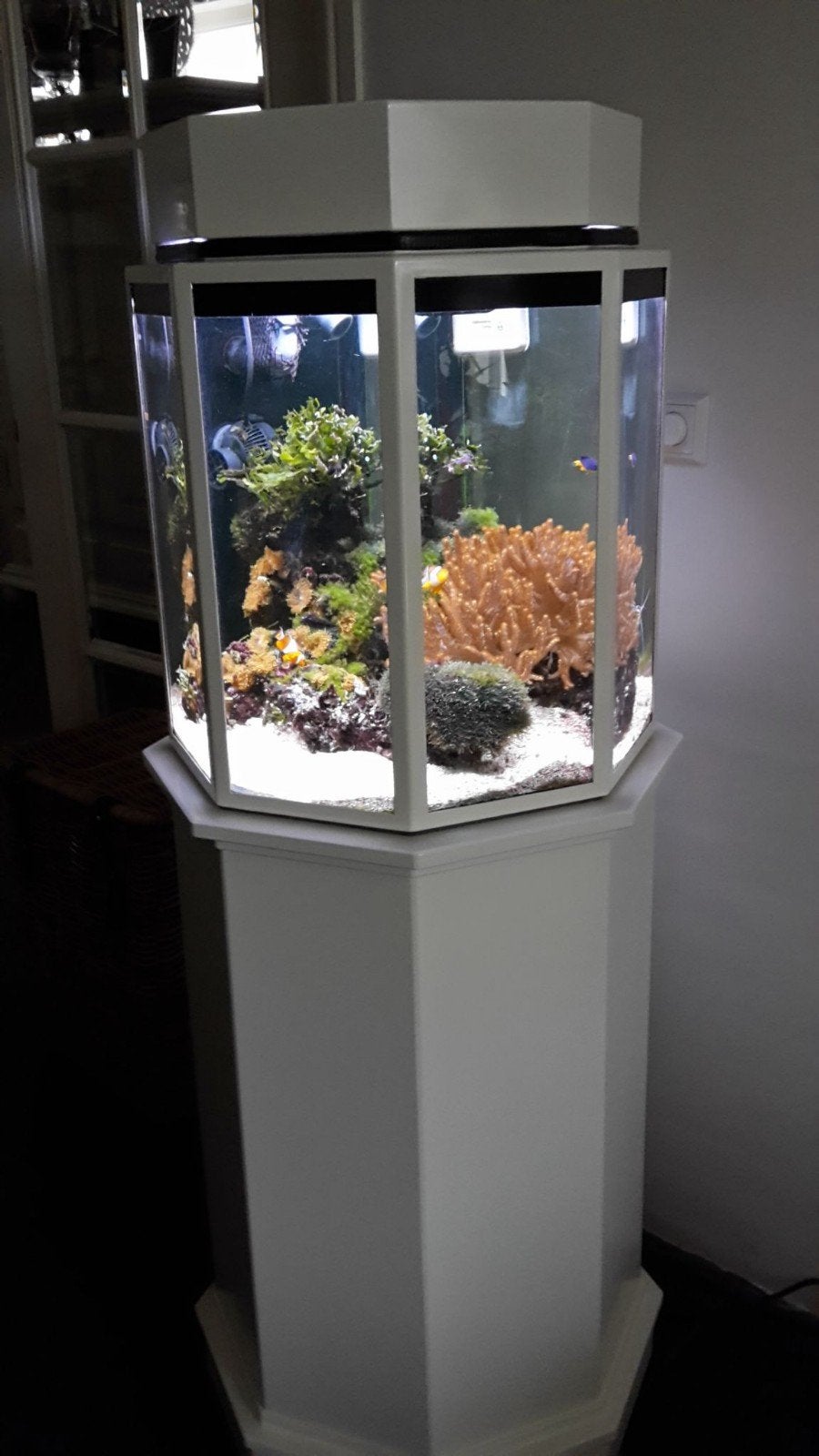 Leeg  zout water aquarium  met cooler en osmose apparaat, Dieren en Toebehoren, Ophalen, Gebruikt, Leeg aquarium