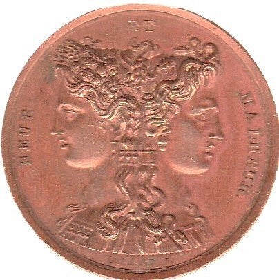 HEUR ET MALHEUR FRANKRIJK, MEDAILLE, NAPOLÈON IER, Postzegels en Munten, Ophalen of Verzenden, Overige materialen