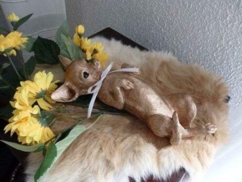 Chihuahua liggend, Ophalen of Verzenden, Nieuw, Overige typen