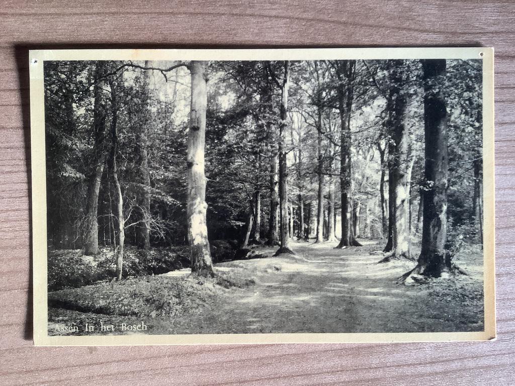 ansichtkaart Assen, Ophalen of Verzenden, Ongelopen, Drenthe