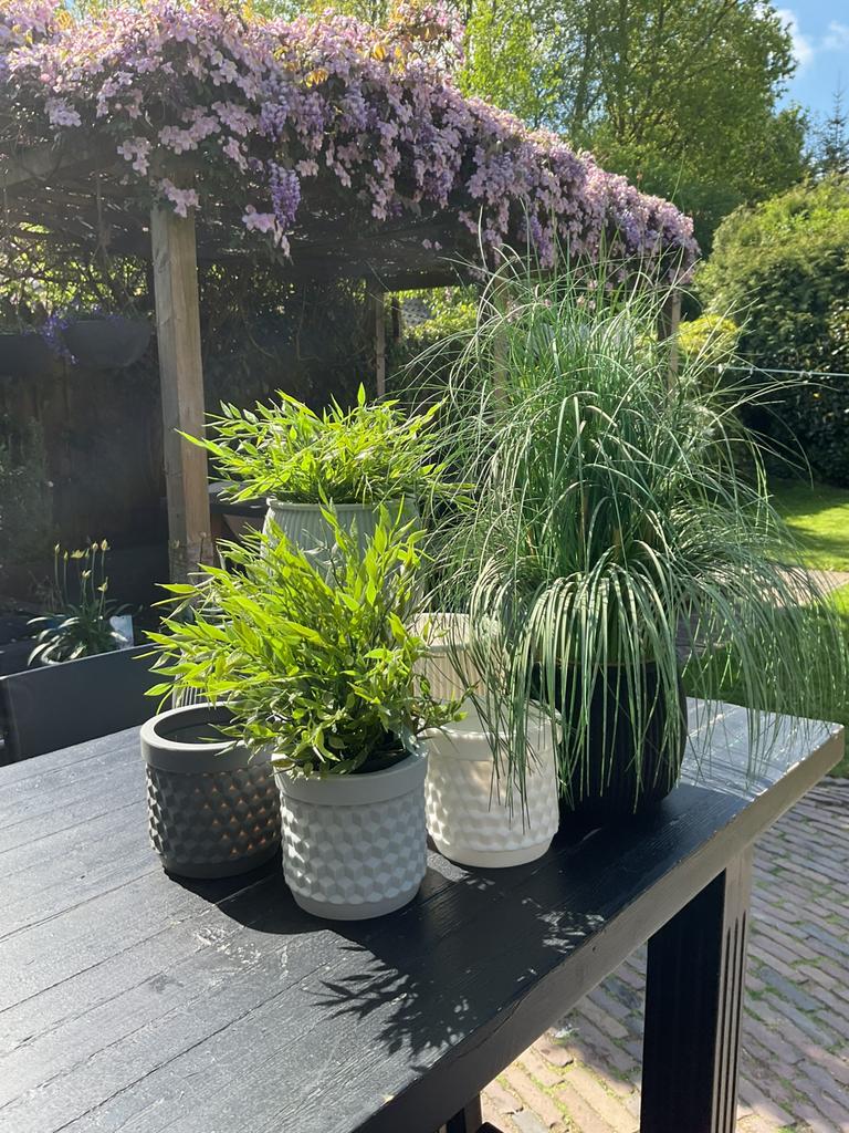 Deens design bloempotten van siliconen rubber., Ophalen of Verzenden