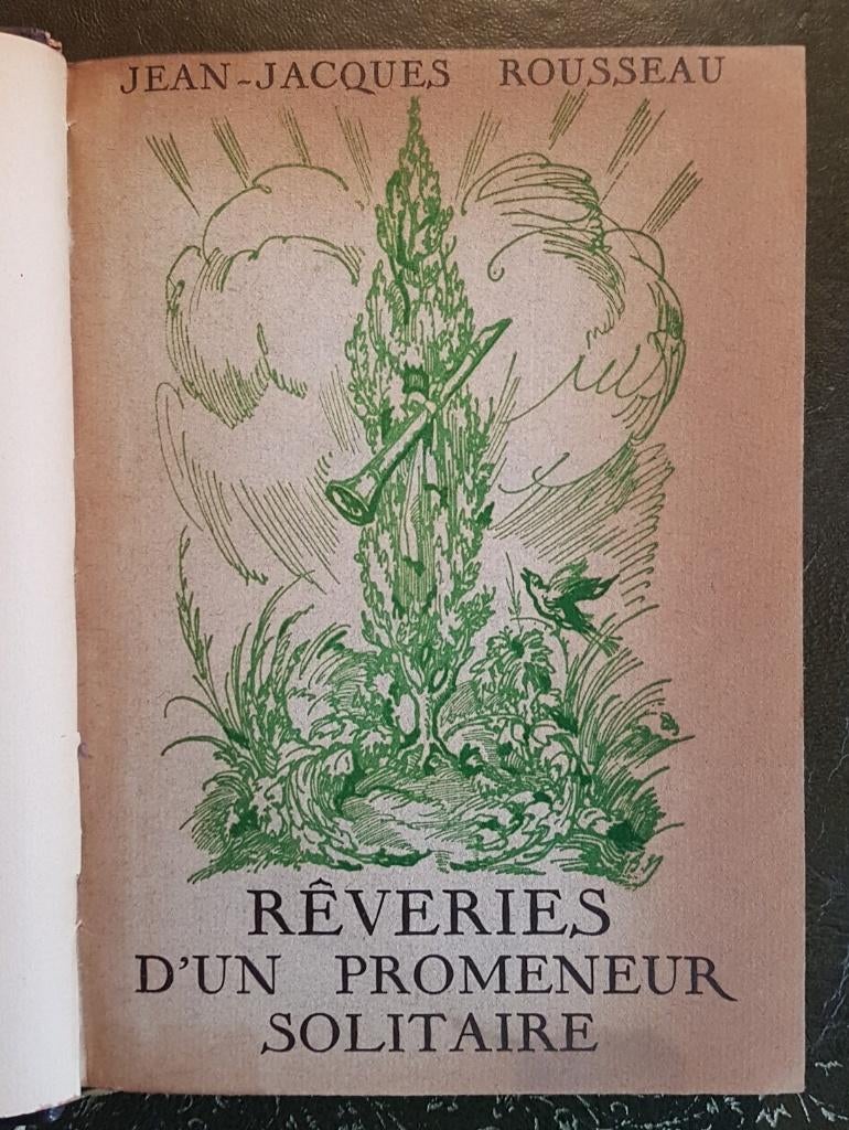 Rousseau - Rêveries d'un promeneur solitaire, Boeken, Ophalen of Verzenden, Gelezen