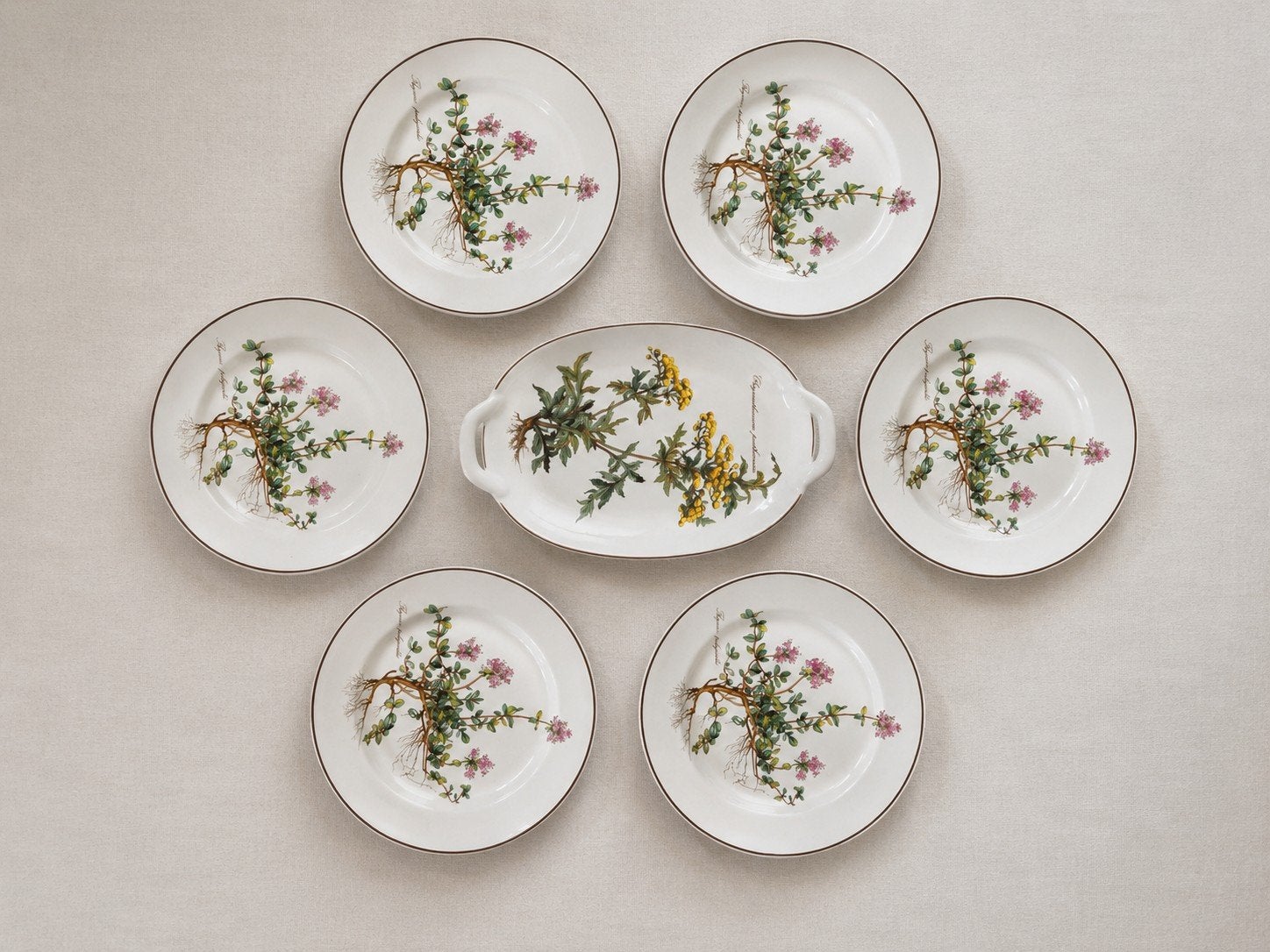 VILLEROY & BOCH ‘BOTANICA’ - 6 borden en 1 schaal, Gebruikt, Ophalen of Verzenden, Bord(en), Overige stijlen