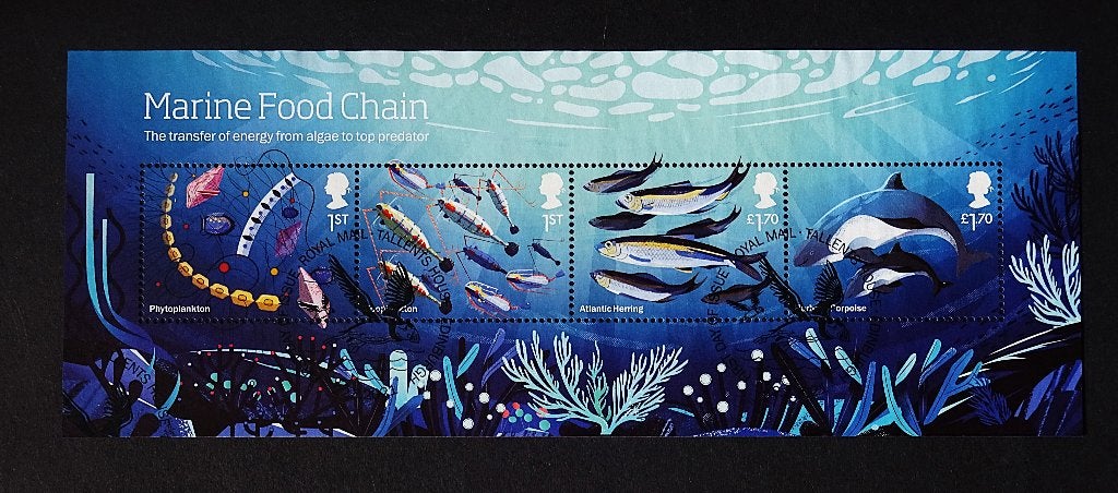 UK / Engeland 2021 Marine Food Chain Blok, Verzenden, Gestempeld