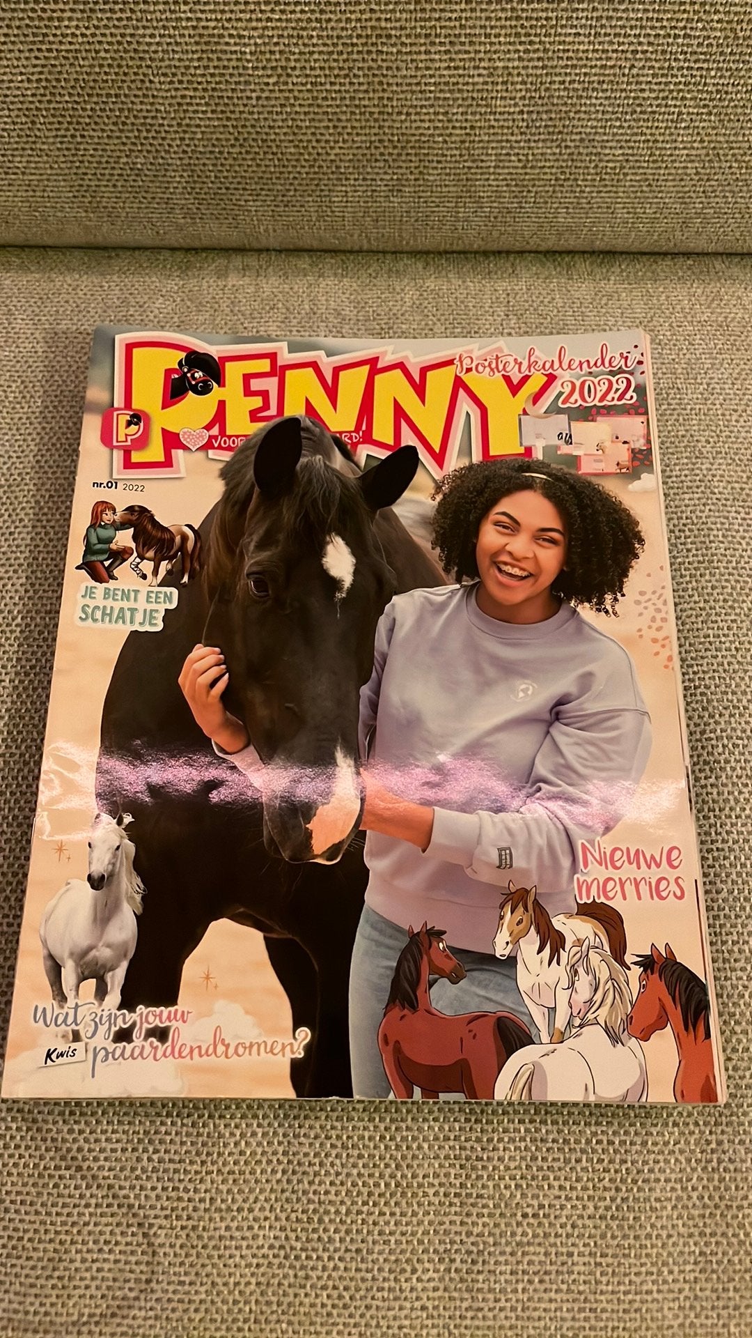 Penny tijdschriften, Gelezen, Europa, Ophalen of Verzenden, Meerdere comics