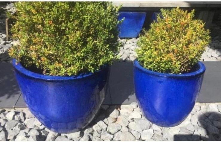 Grote blauwe geglazuurde bloempotten 50 en 39cm, Ophalen, 40 cm of meer, Rond, Zo goed als nieuw