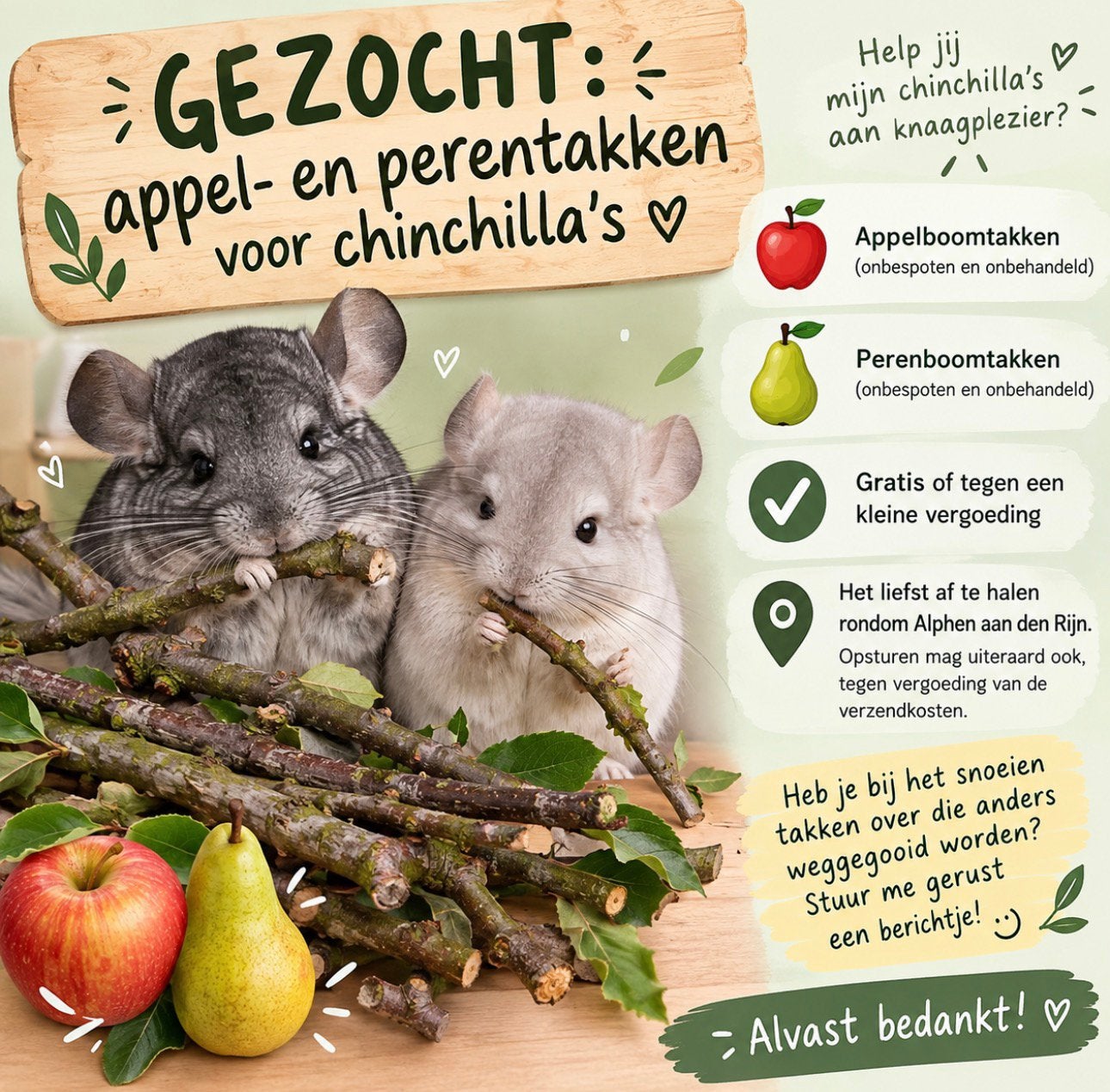 GEZOCHT: appel- en perentakken voor chinchilla’s, Ophalen of Verzenden, Nieuw, Overige typen