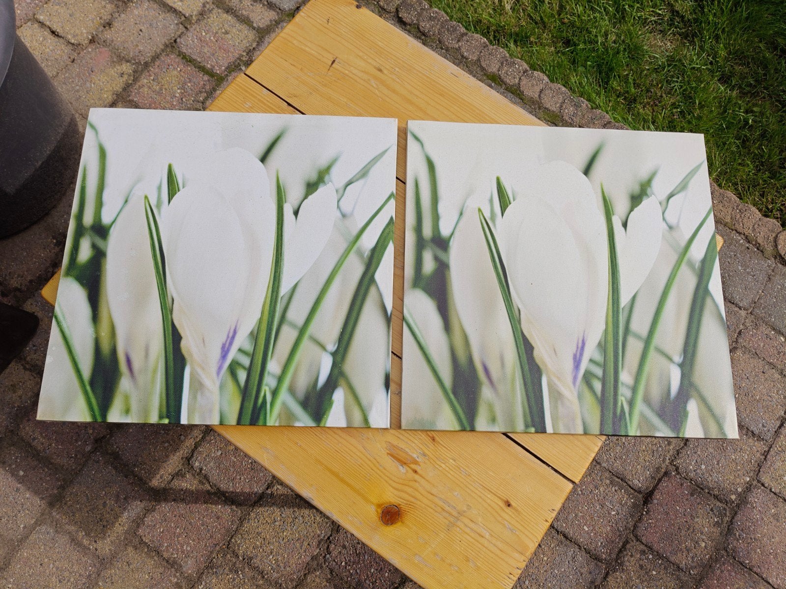 Nieuw ! Set van 2 muur posters Lente !, Ophalen, Zo goed als nieuw, Canvas of Doek, A1 t/m A3