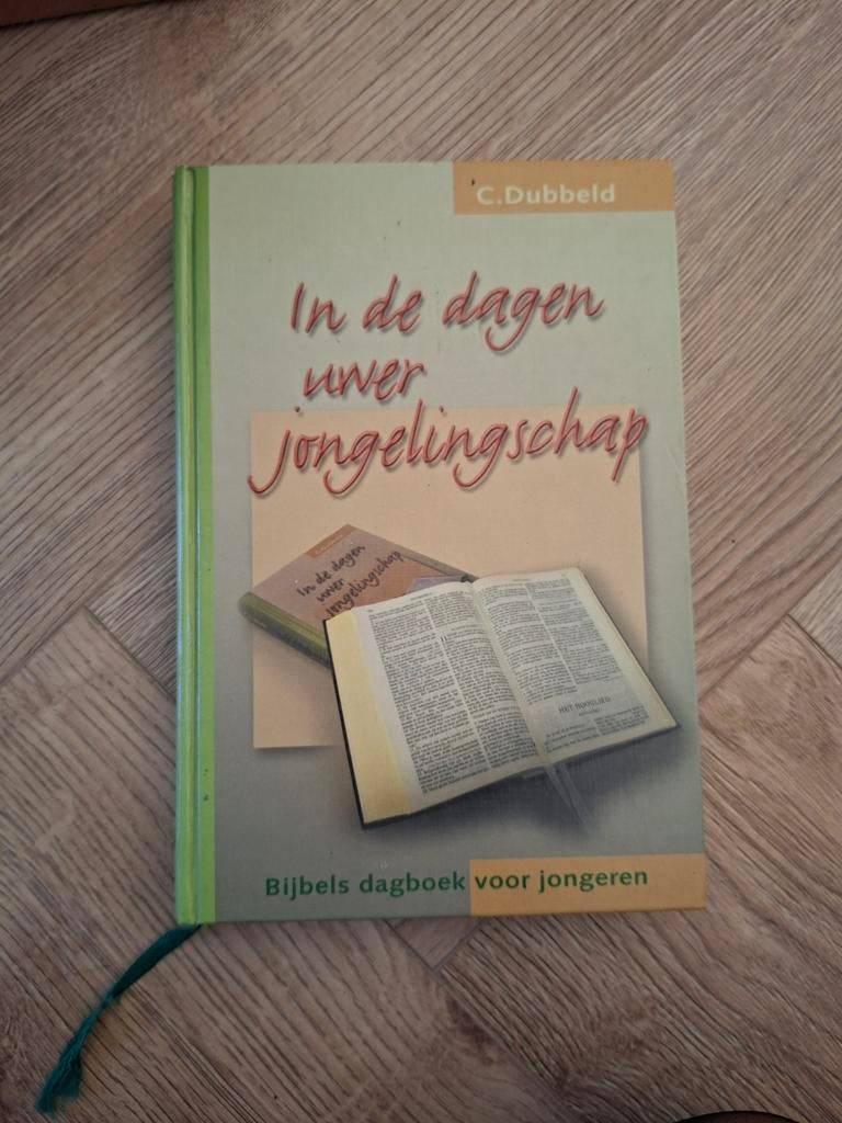 C. Dubbeld - In de dagen uwer jongelingschap, Ophalen of Verzenden, Zo goed als nieuw, C. Dubbeld