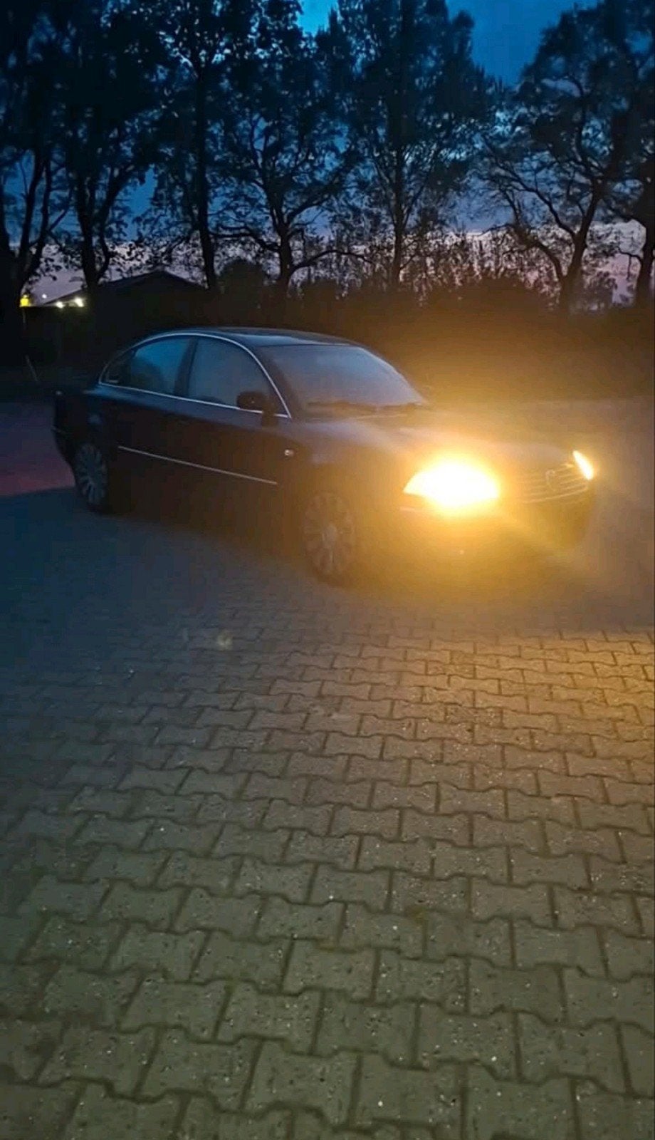 volkswagen passat v5, Ophalen of Verzenden