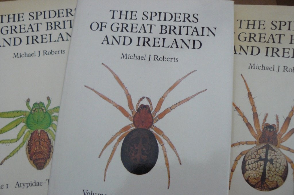 SPINNEN / THE SPIDERS OF GREAT BRITAIN AND IRELAND / Roberts, Ophalen of Verzenden, Gelezen