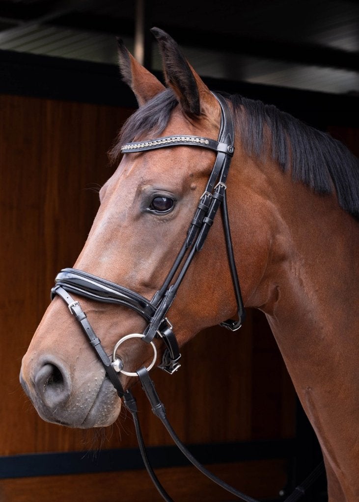 Harry's Horse Hoofdstel Rondgenaaid en lak neusriem, Cob, Ophalen of Verzenden, Nieuw, Dressuur