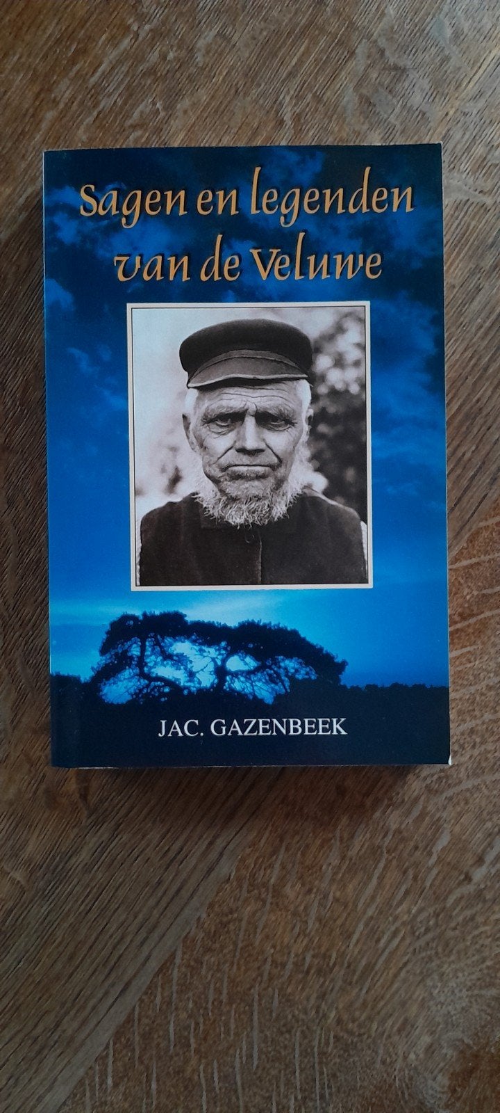 Sagen en Legenden van de Veluwe - Jac. Gazenbeek, Boeken, Ophalen of Verzenden, Zo goed als nieuw, Jac. Gazenbeek, Gelderland